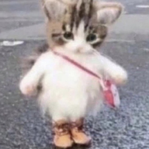 Meet your Posher, Ella - Picture 1 of 1